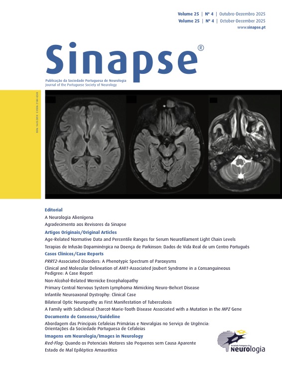 					Ver Vol. 25 N.º 4 (2025): Outubro - Dezembro
				