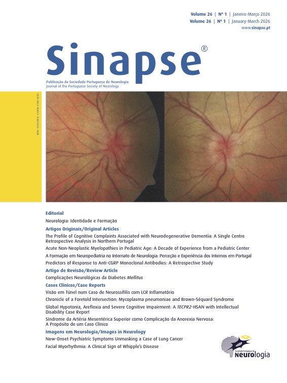 					Ver Vol. 26 N.º 1 (2026): Janeiro - Março
				